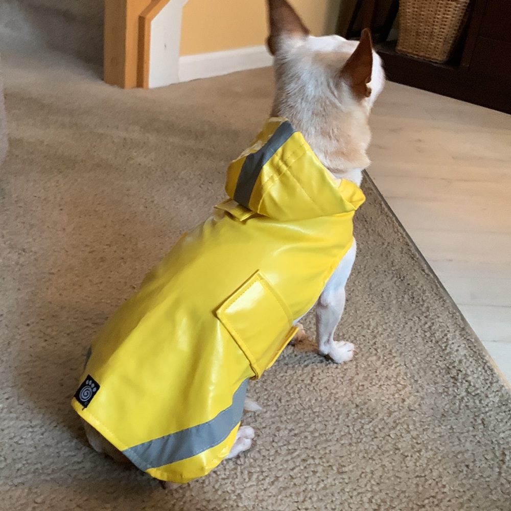 Dog rain coat